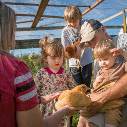 Family interacting with chickens in a greenhouse setting